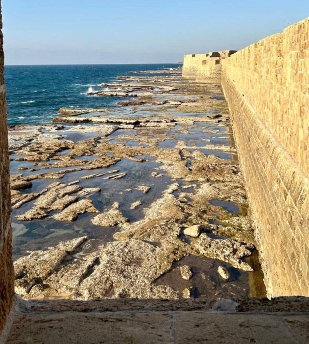 خبير في علوم الأرض يوّضح سبب انحسار مياه البحر في عكا نحو 200 متر خبير في علوم الأرض يوّضح سبب انحسار مياه البحر في عكا نحو 200 متر