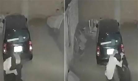 بالفيديو.. سيدة مصرية تنقذ زوجها وتطرح مهاجمه أرضًا بحركة خاطفة بالفيديو.. سيدة مصرية تنقذ زوجها وتطرح مهاجمه أرضًا بحركة خاطفة