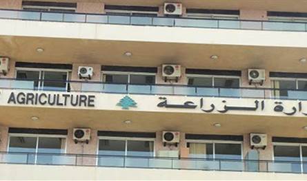 حالات مرضية بين الأبقار في القرعون ووزارة الزراعة توضح الإجراءات المتخذة حالات مرضية بين الأبقار في القرعون ووزارة الزراعة توضح الإجراءات المتخذة