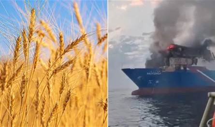 هجمات البحر الأسود ترفع أسعار القمح عالمياً وسط مخاوف من أزمة إمدادات هجمات البحر الأسود ترفع أسعار القمح عالمياً وسط مخاوف من أزمة إمدادات