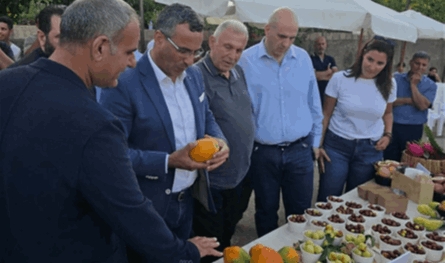 وزير الزراعة يطلق مشروعاً لتوزيع الشتول على 1150 مزارعاً وزير الزراعة يطلق مشروعاً لتوزيع الشتول على 1150 مزارعاً