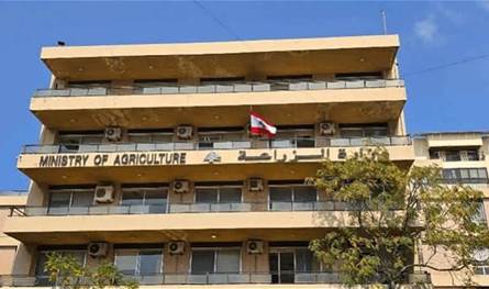 الزراعة تفتح باب اعتماد شركات الرقابة على المنتجات الزراعية المعدّة للتصدير الزراعة تفتح باب اعتماد شركات الرقابة على المنتجات الزراعية المعدّة للتصدير